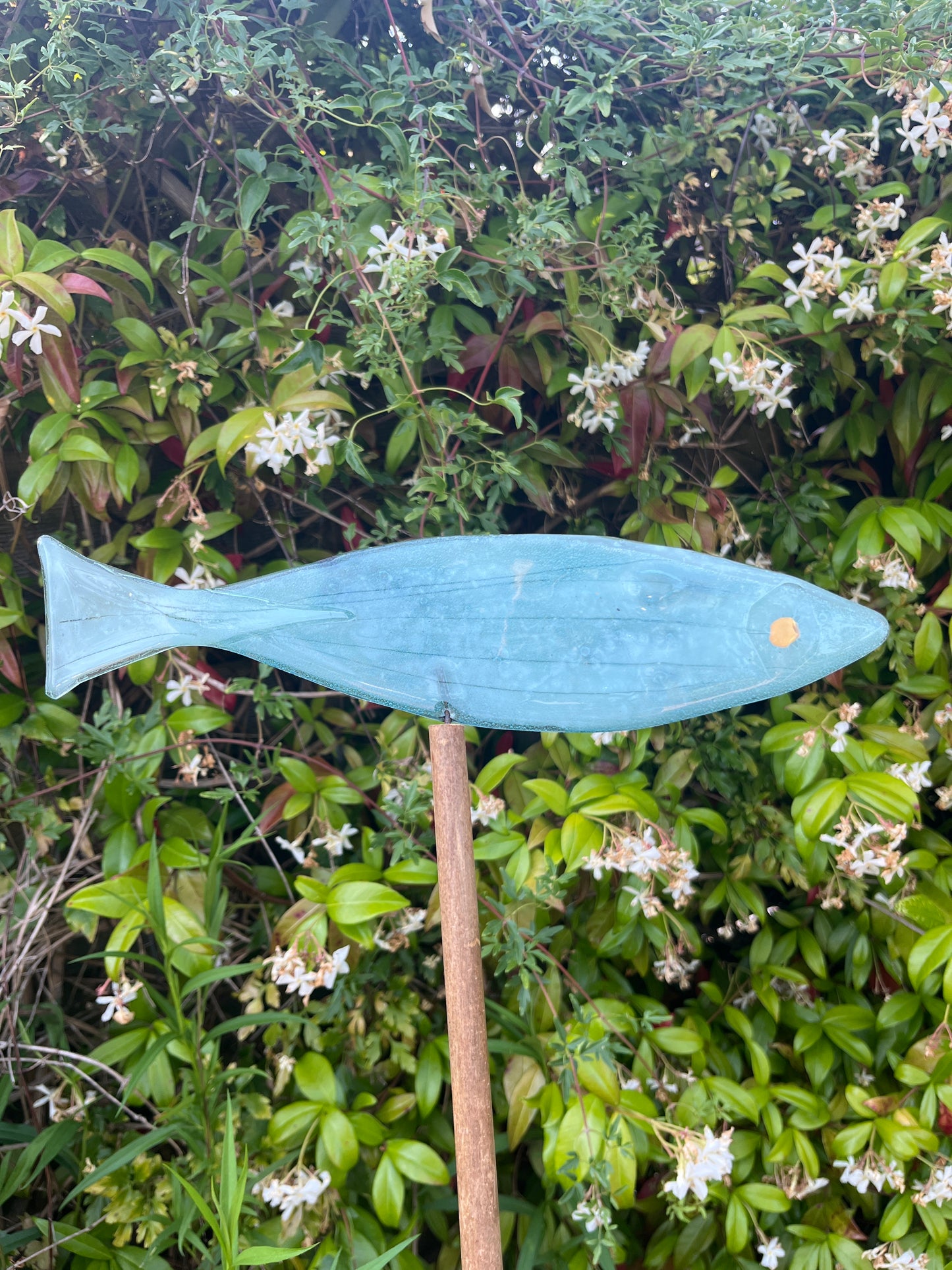 Large Glass Fish on Bamboo Sick