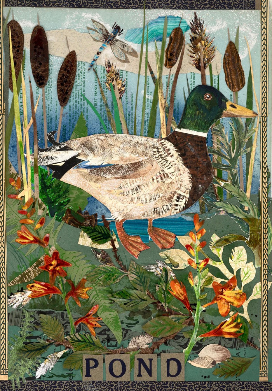 Pond Life Fine Art Giclèe Print