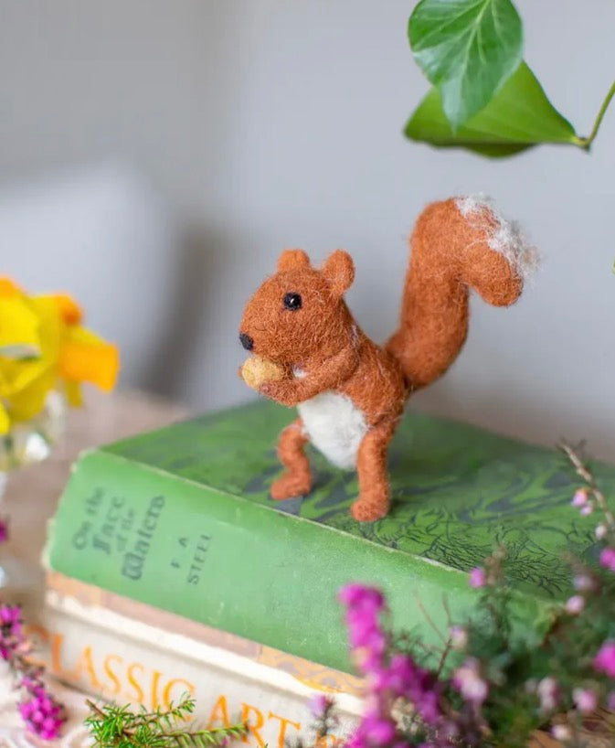Baby Squirrel