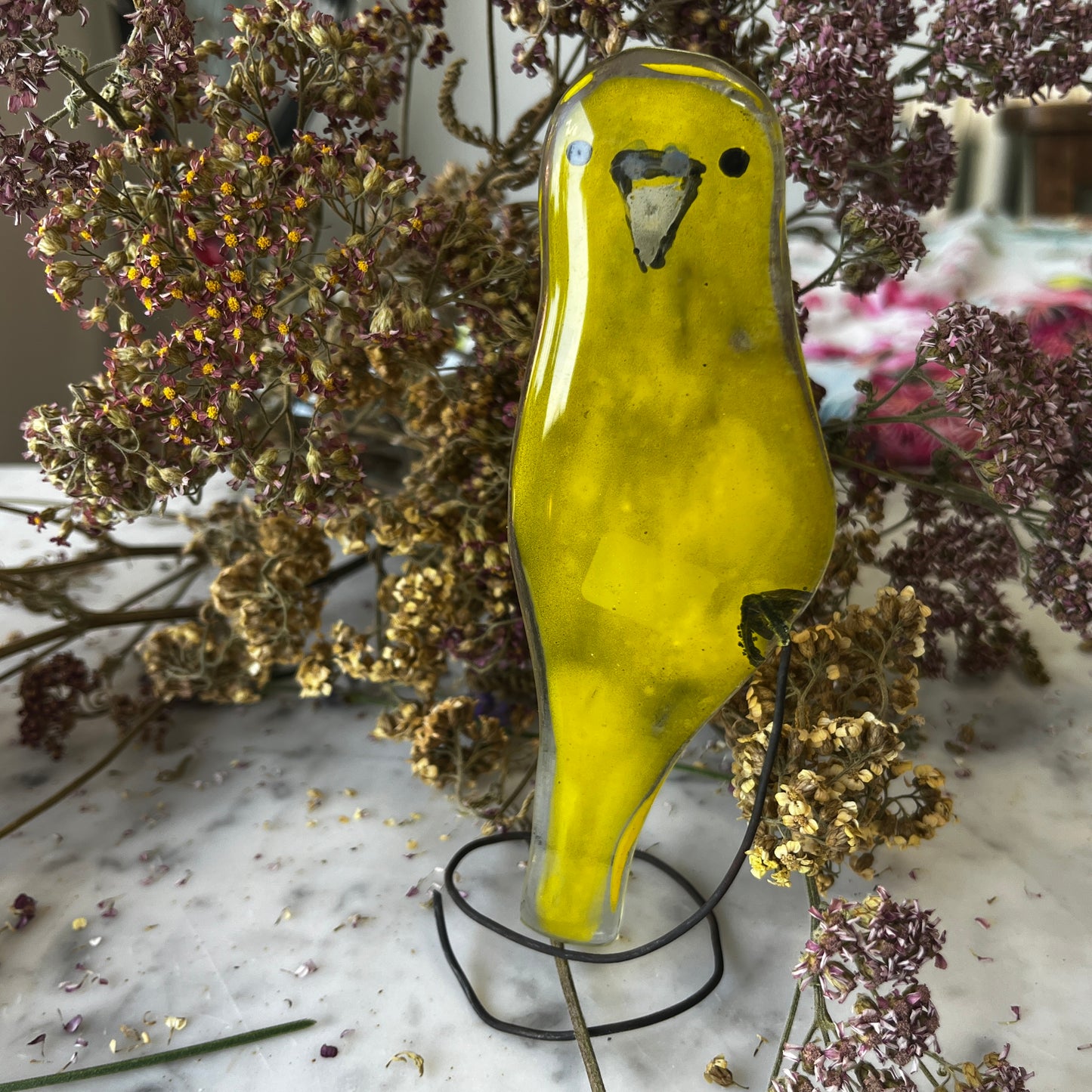Budgie on a Spring!