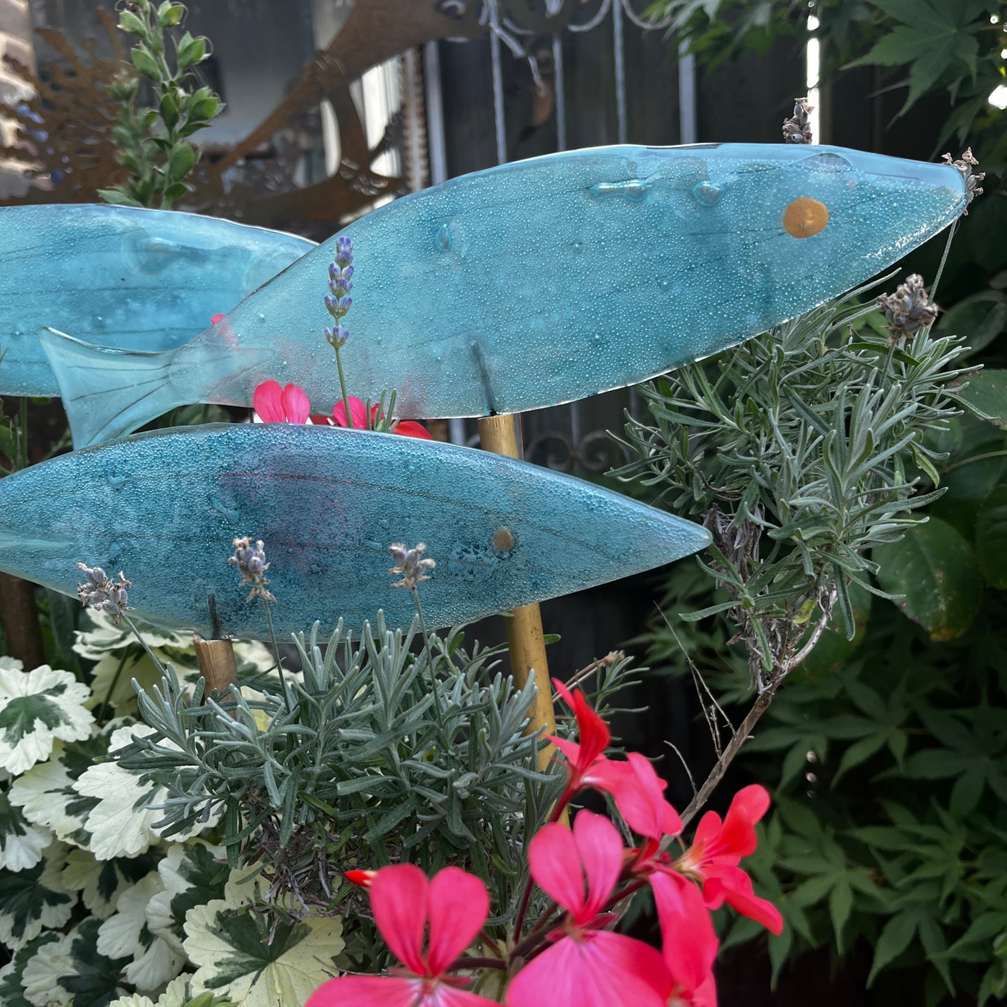 Very Large fish on a Cane