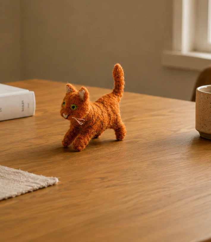 Molly the Marmalade Cat