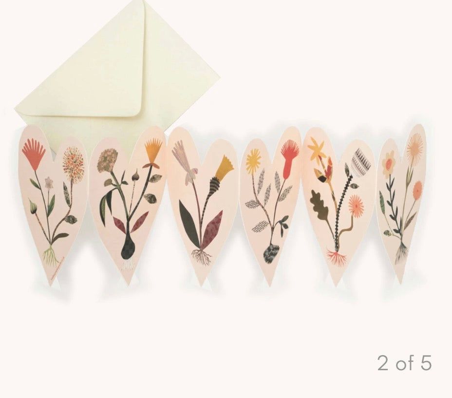 Hearts Concertina