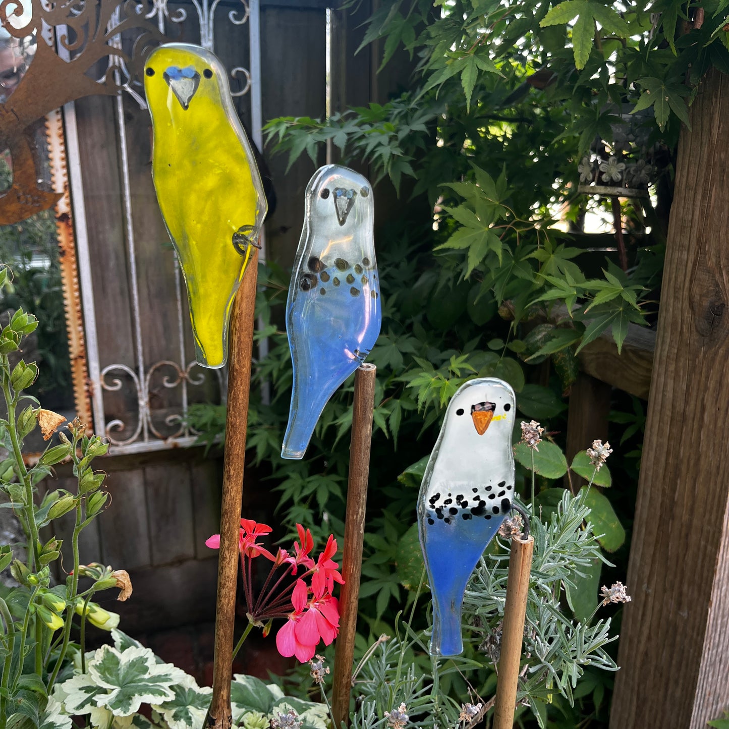 Glass Budgie on a Cane