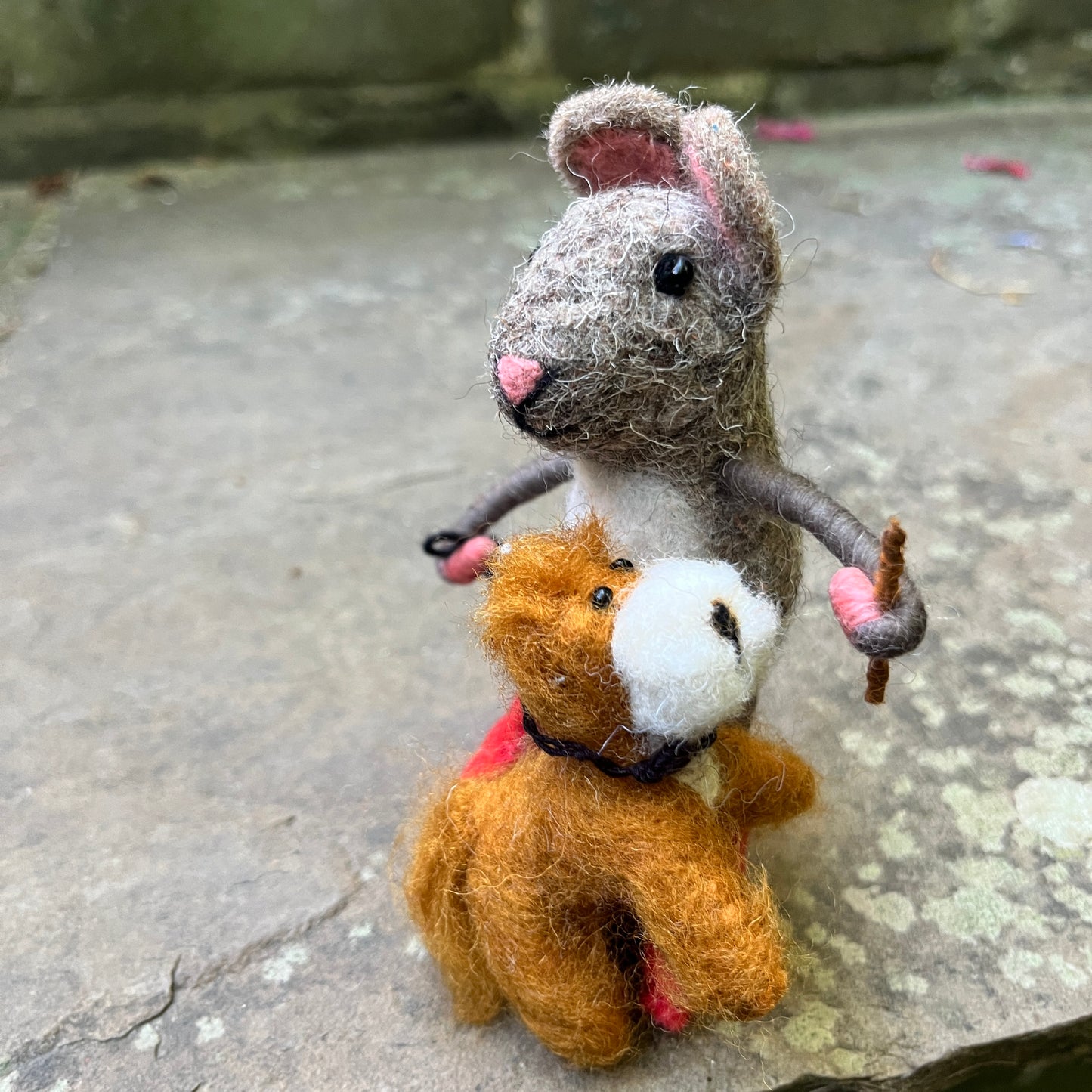 Mouse Walking Cockapoo
