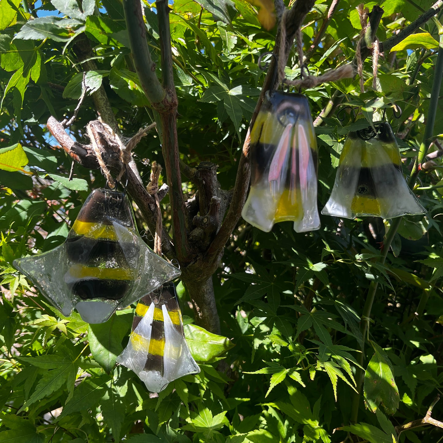 Glass Bee