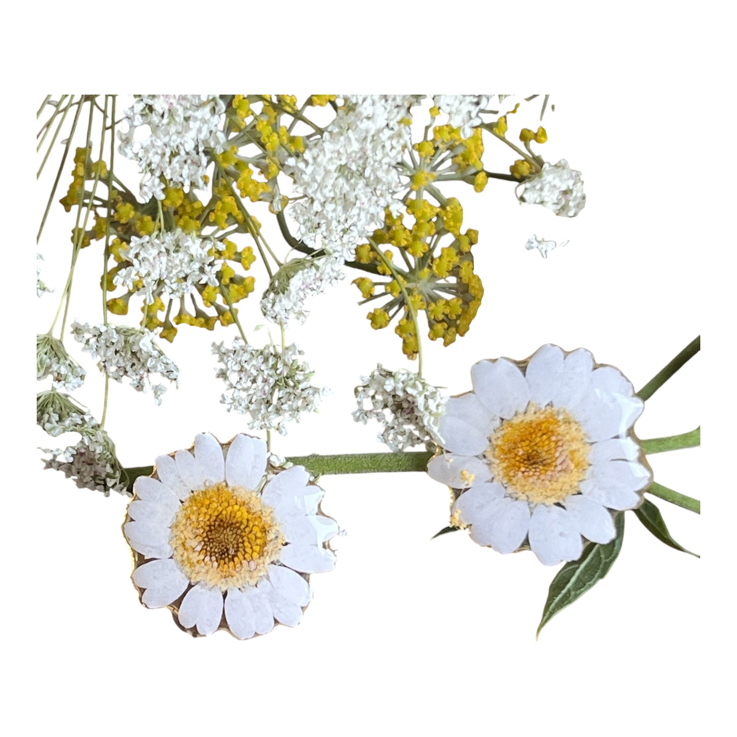 Daisy studs
