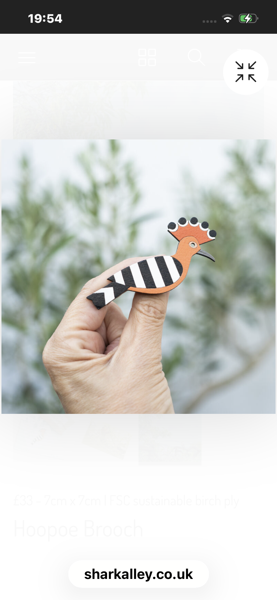 Hand Painted Hoopoe Bird