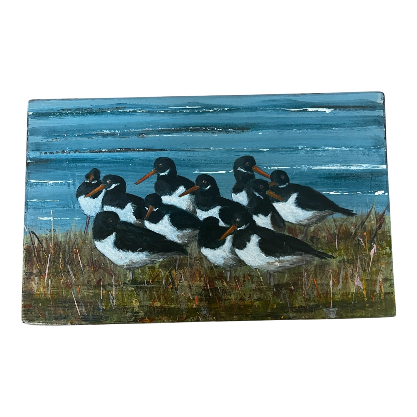 Oyster Catcher Painting by Stephen Ferguson