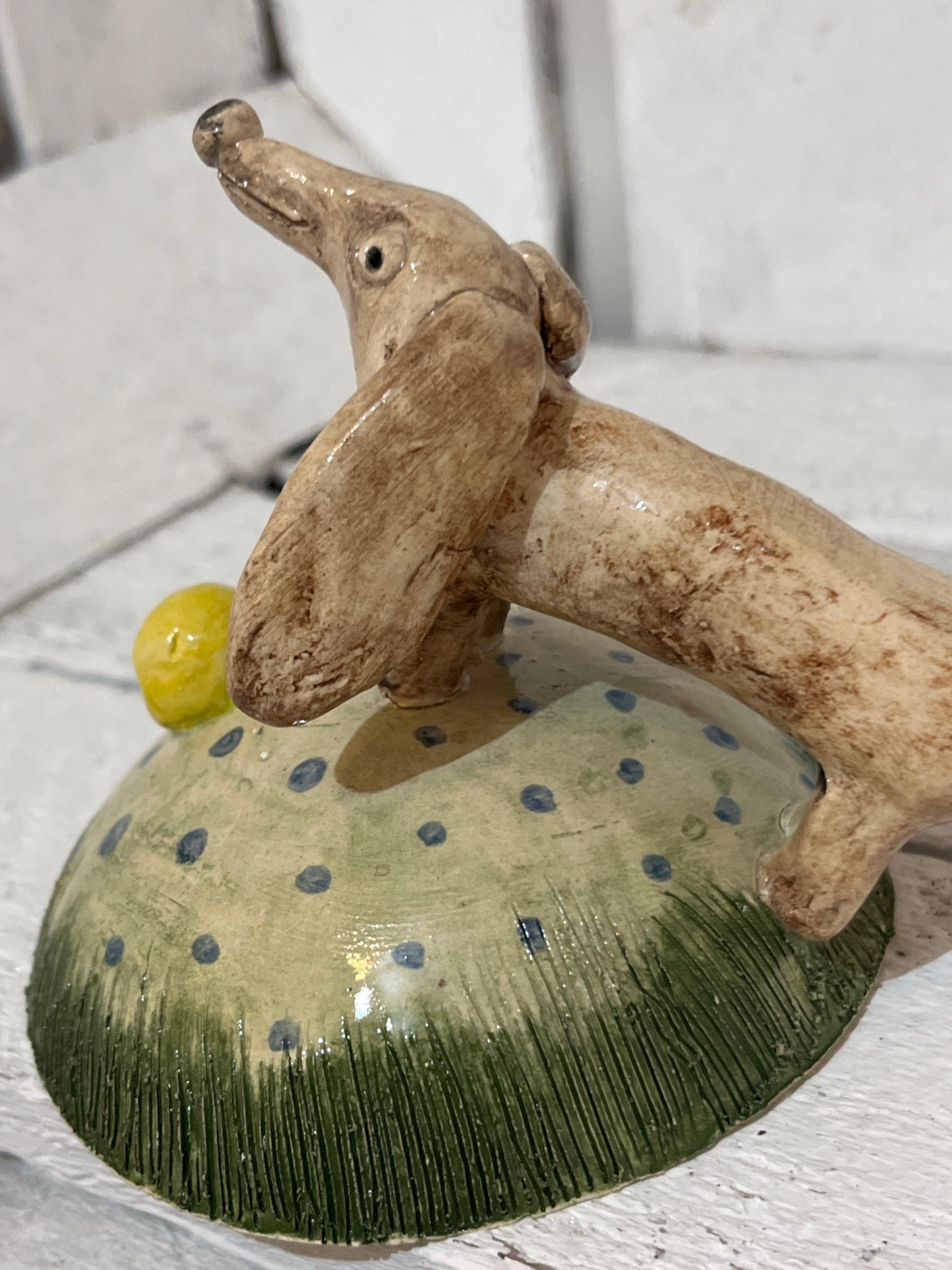 Dog with the Yellow Ball by Judith Douglas
