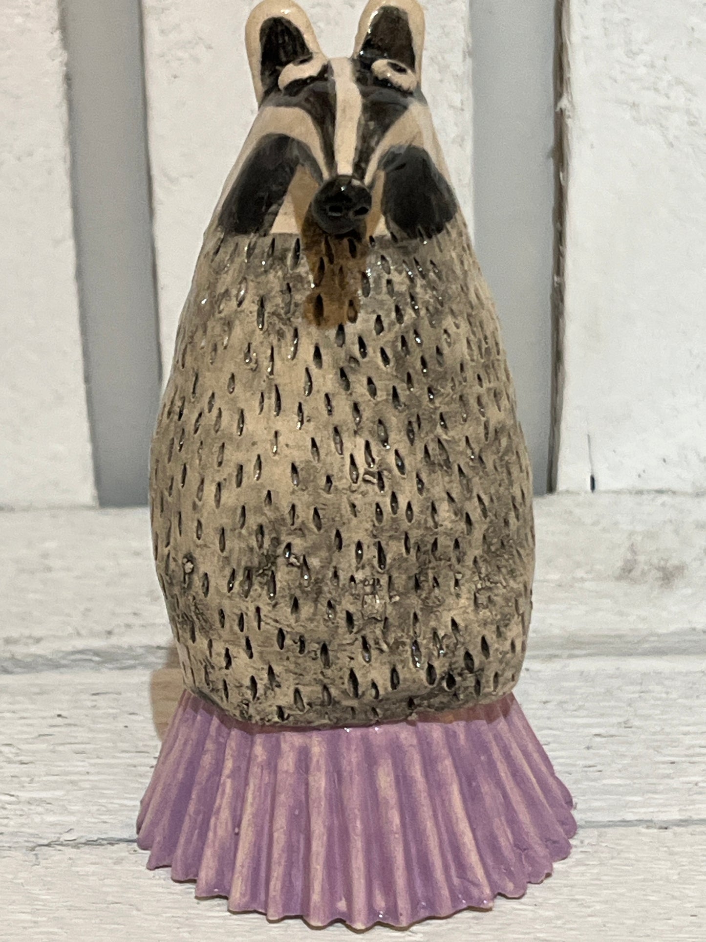 Billy Badger by Judith Douglas