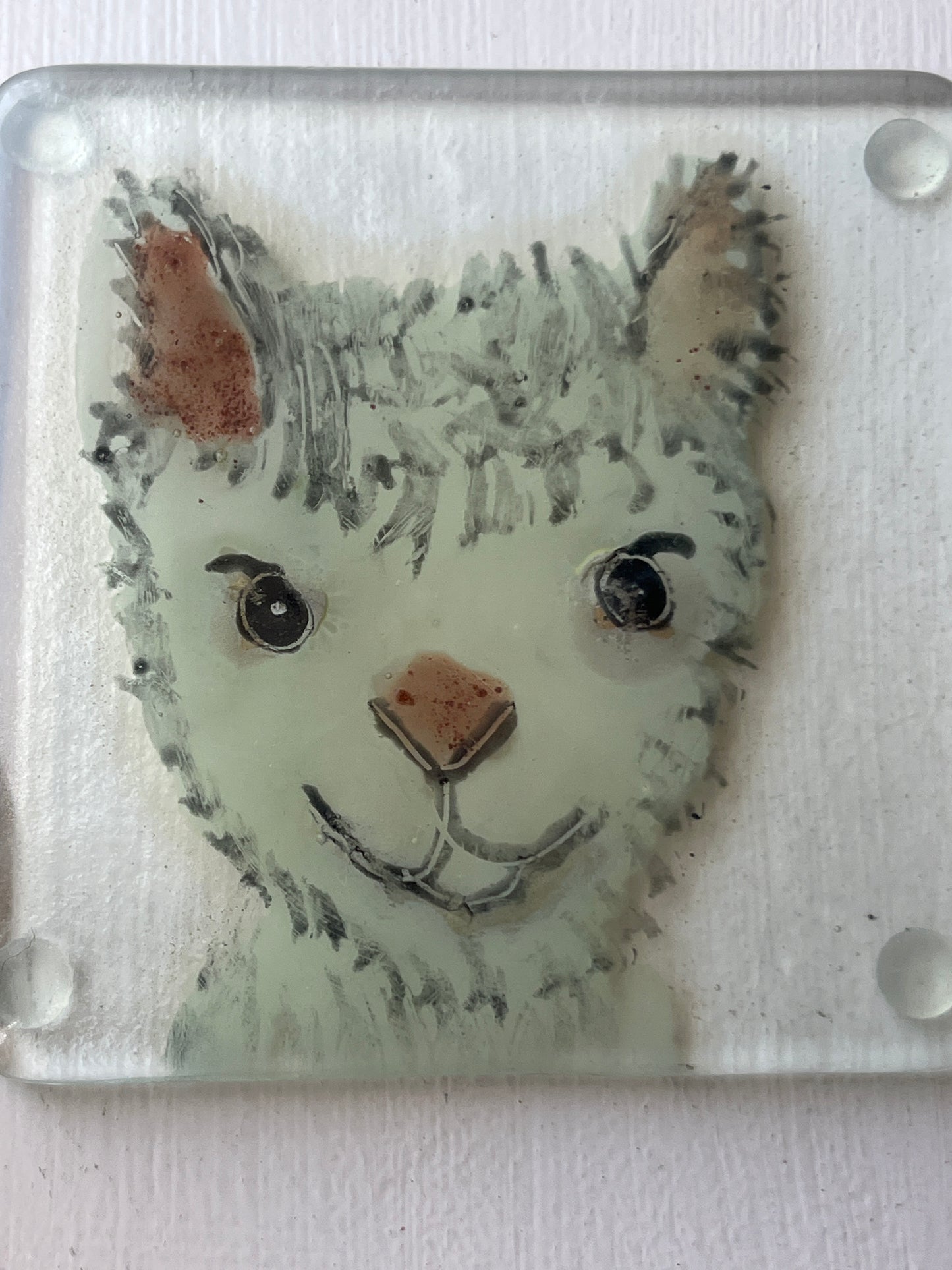 Glass Animal Coasters