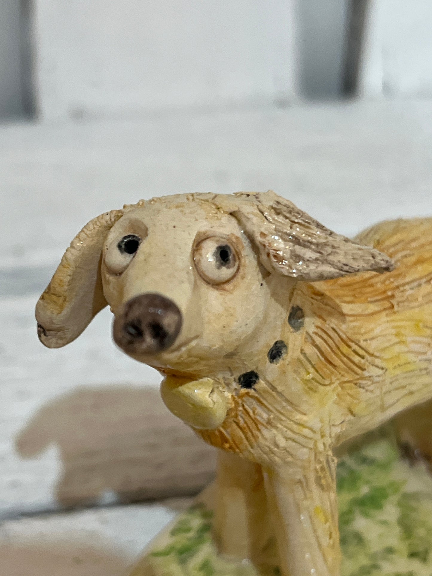 Dog with Orange Ball by Judith Douglas