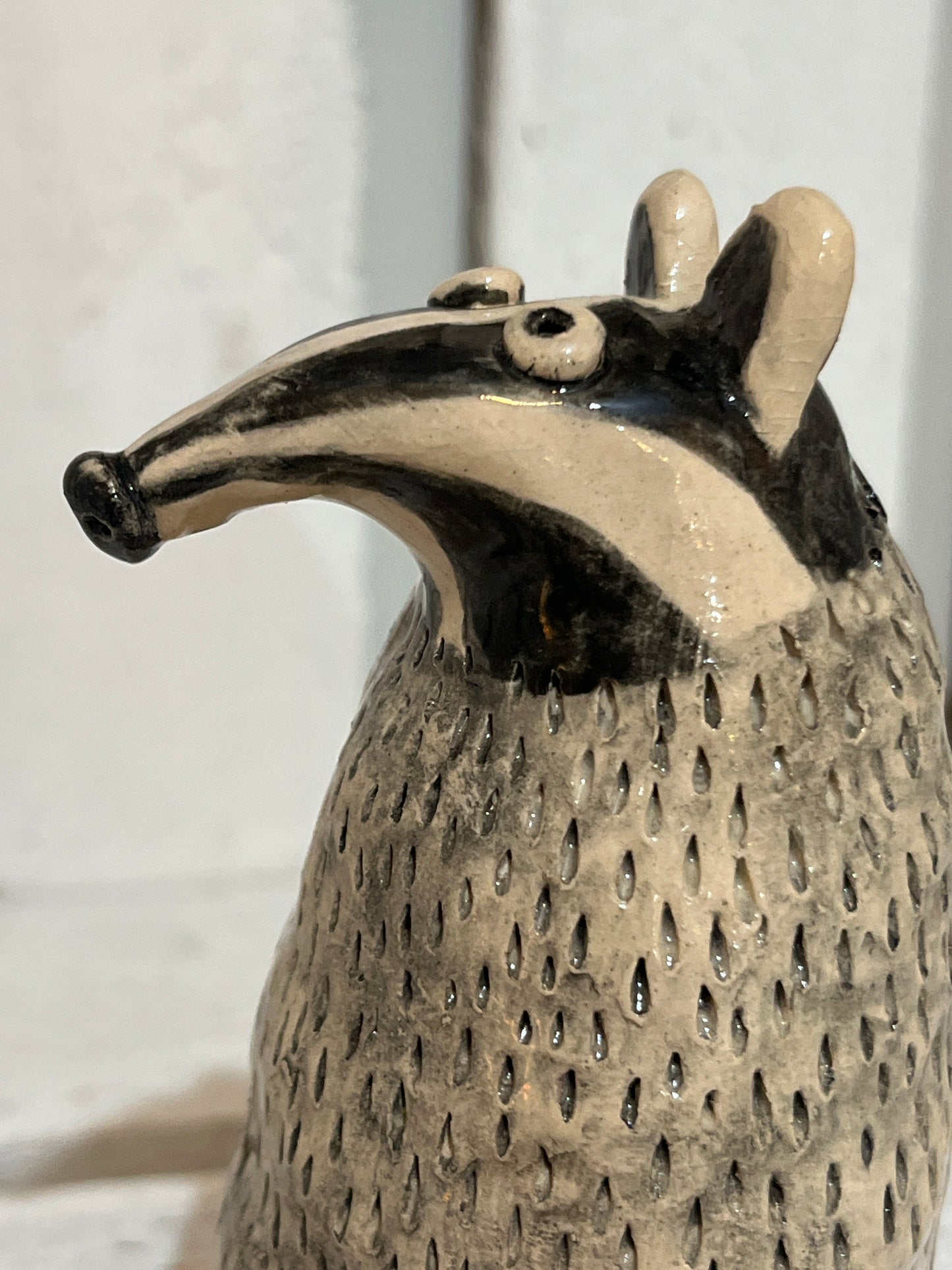Billy Badger by Judith Douglas