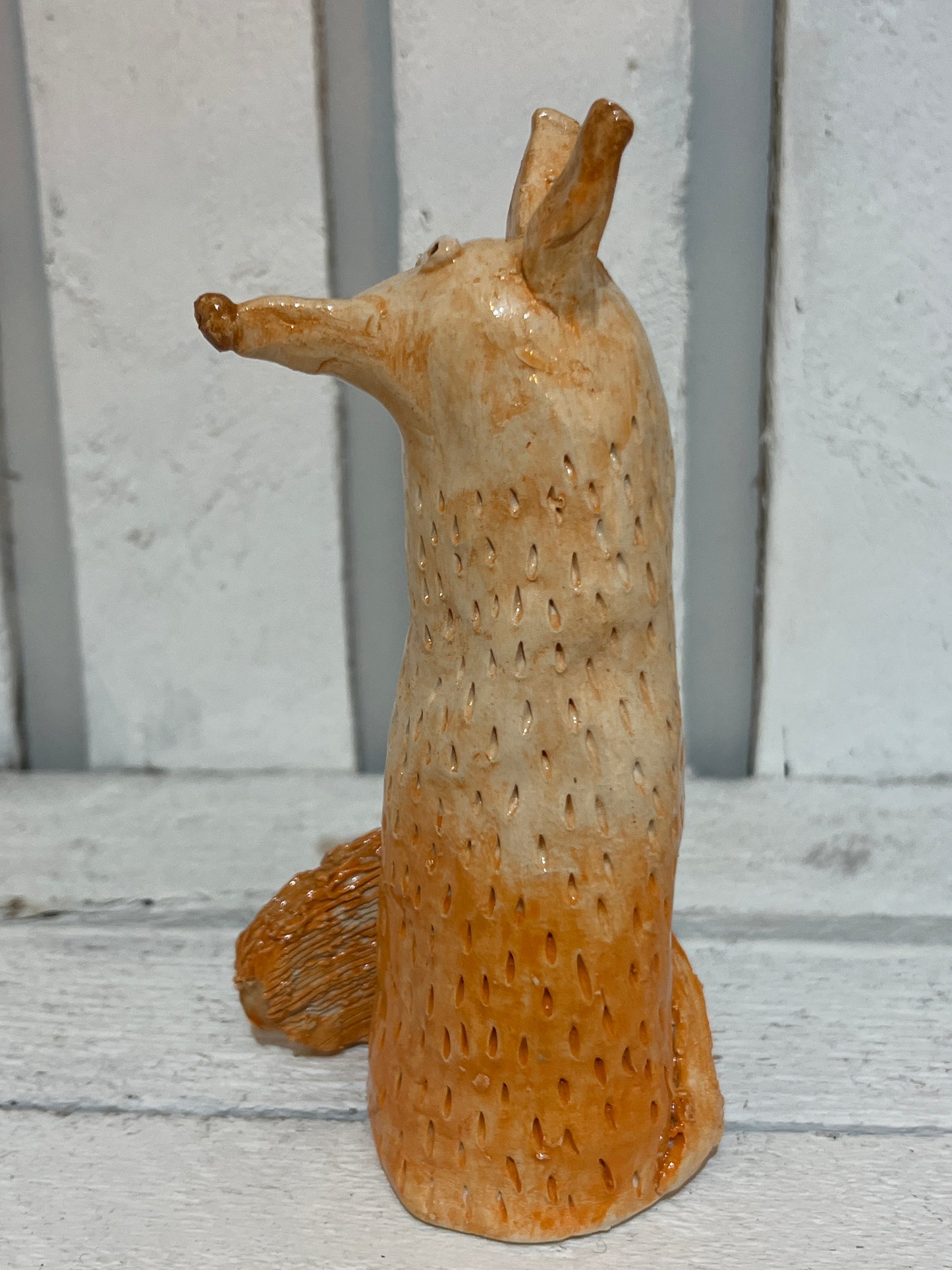 Master Fox by Judith Douglas