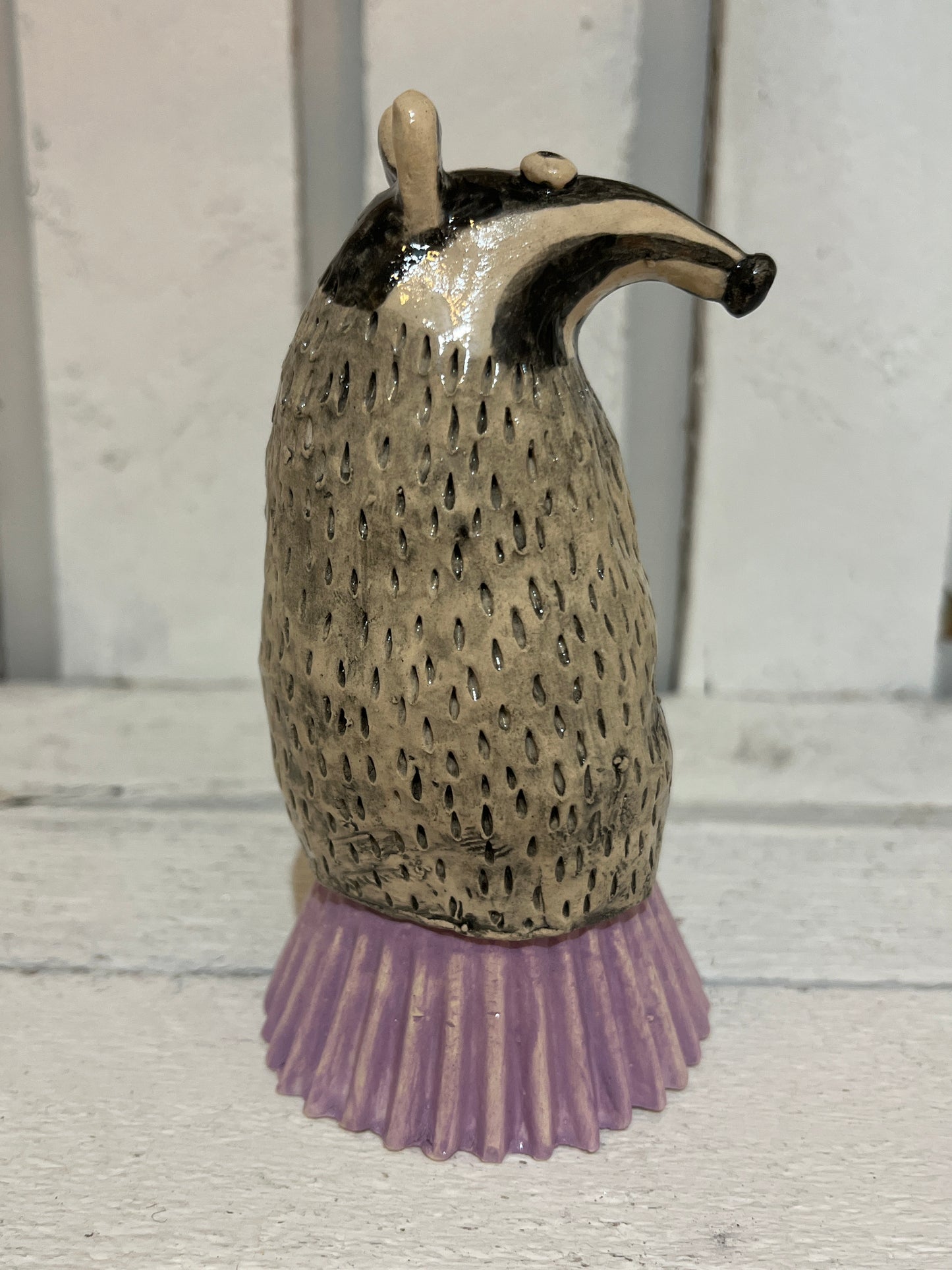 Billy Badger by Judith Douglas