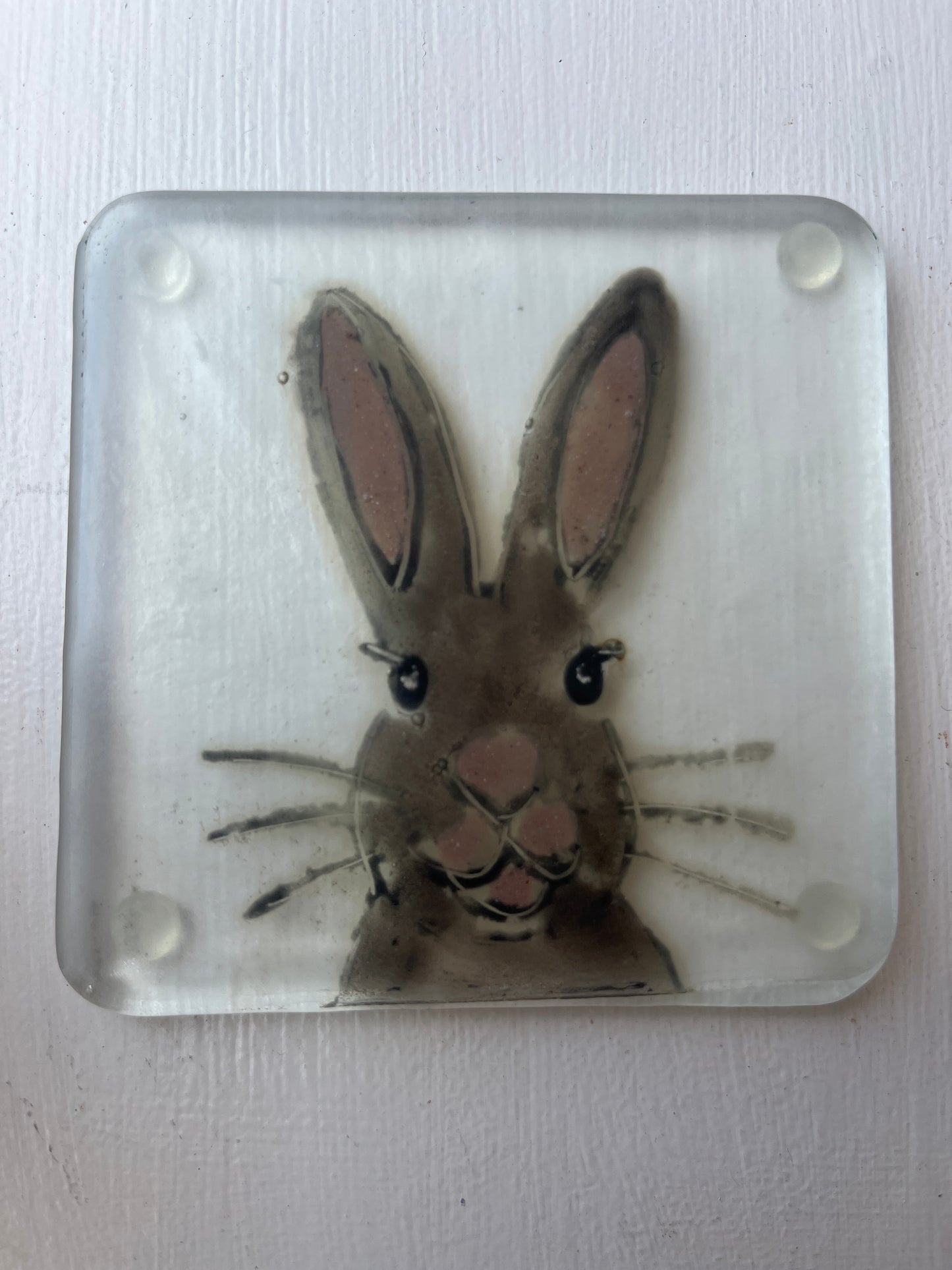Glass Animal Coasters