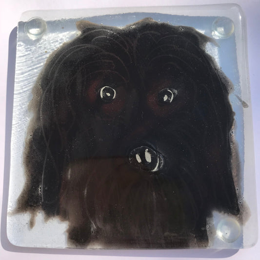 Glass Doggy Coasters