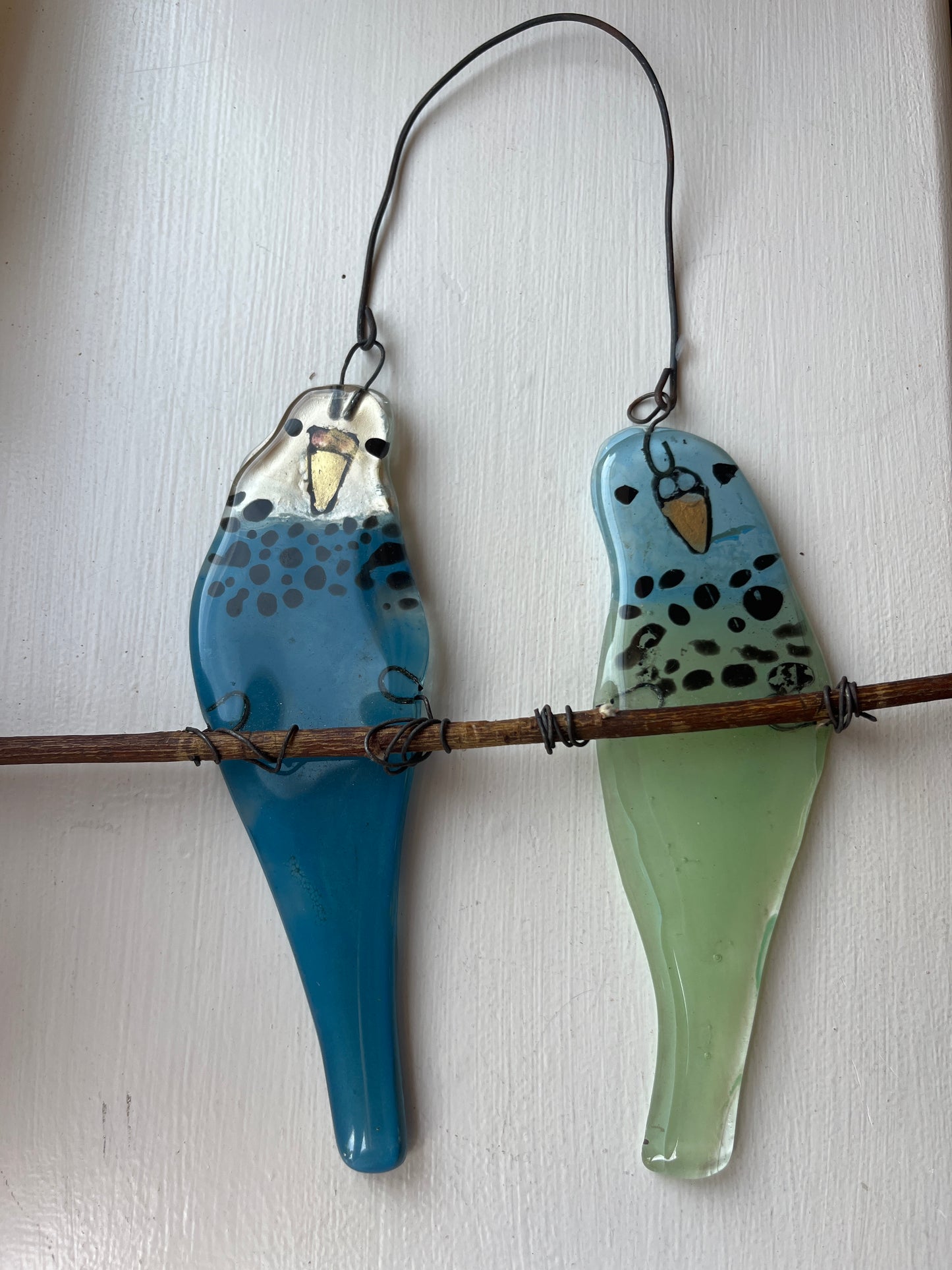 Two Budgies