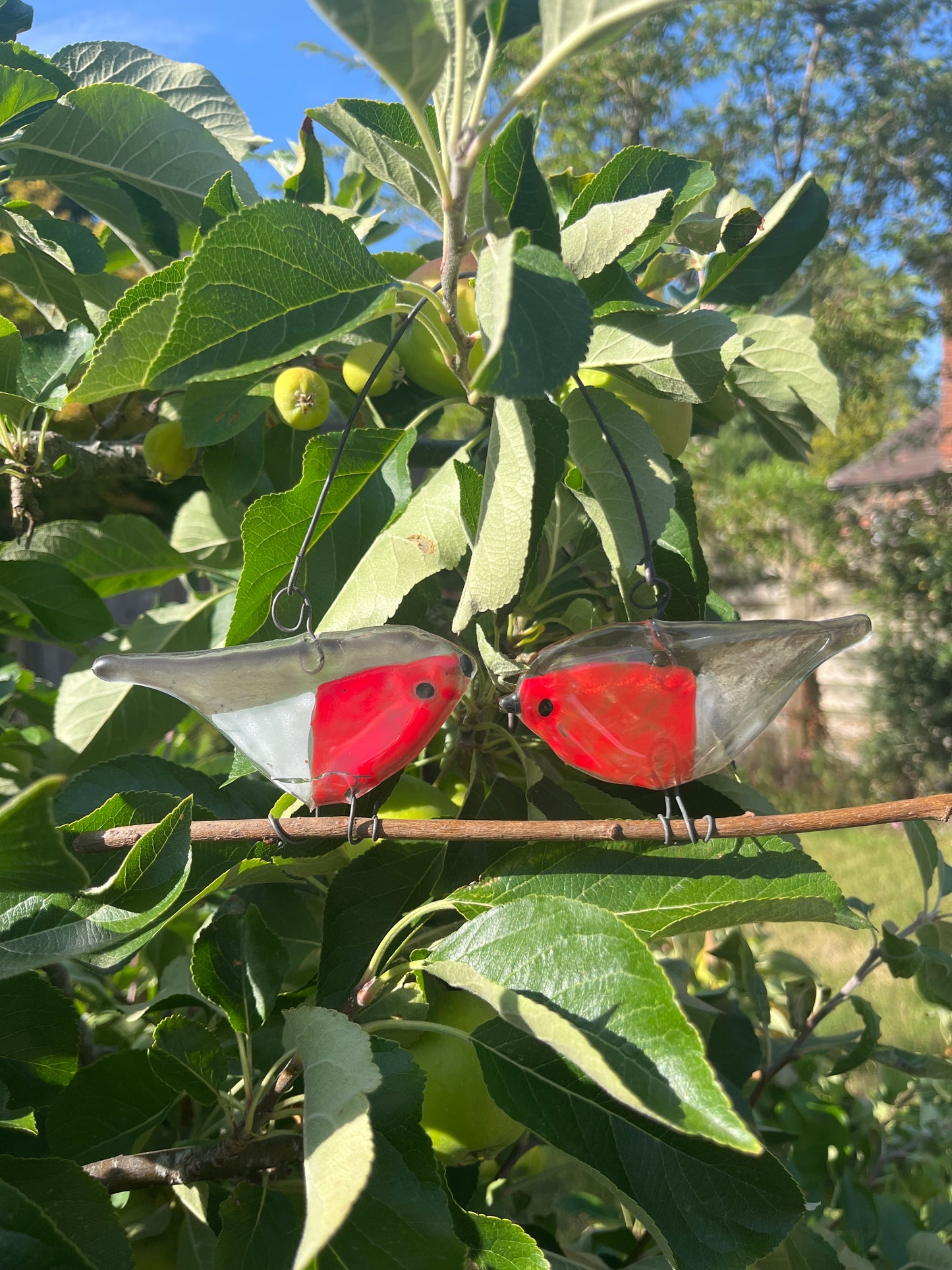 Pair of Glass Robins