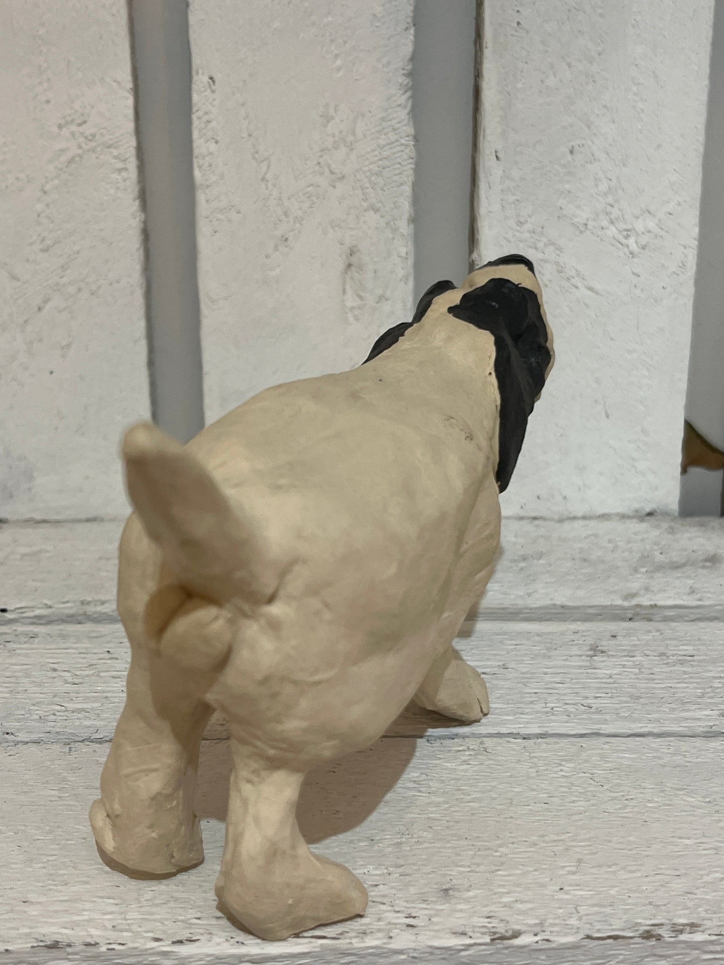Small Black and White Dog by Helen Jewsbury