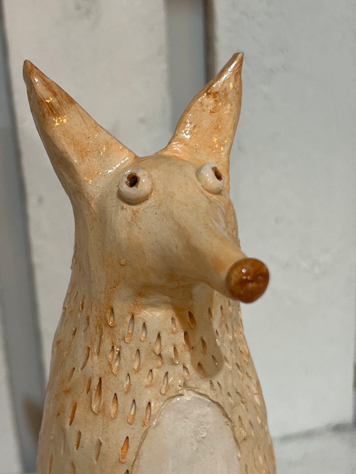 Mr Fox by Judith Douglas