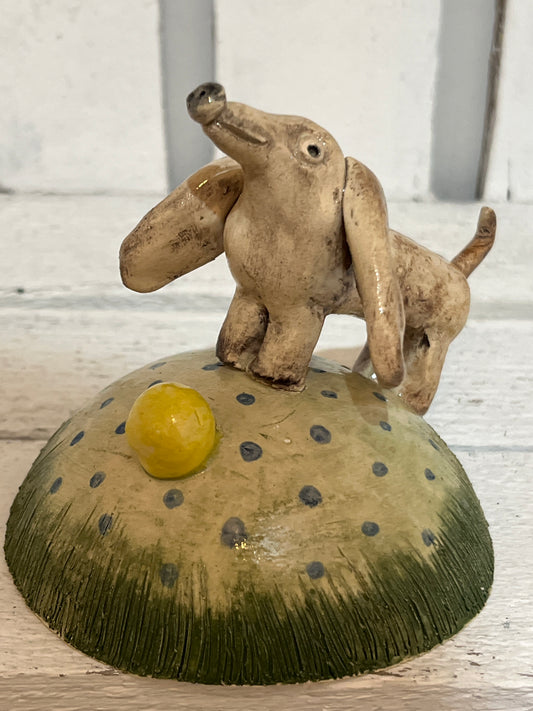 Dog with the Yellow Ball by Judith Douglas