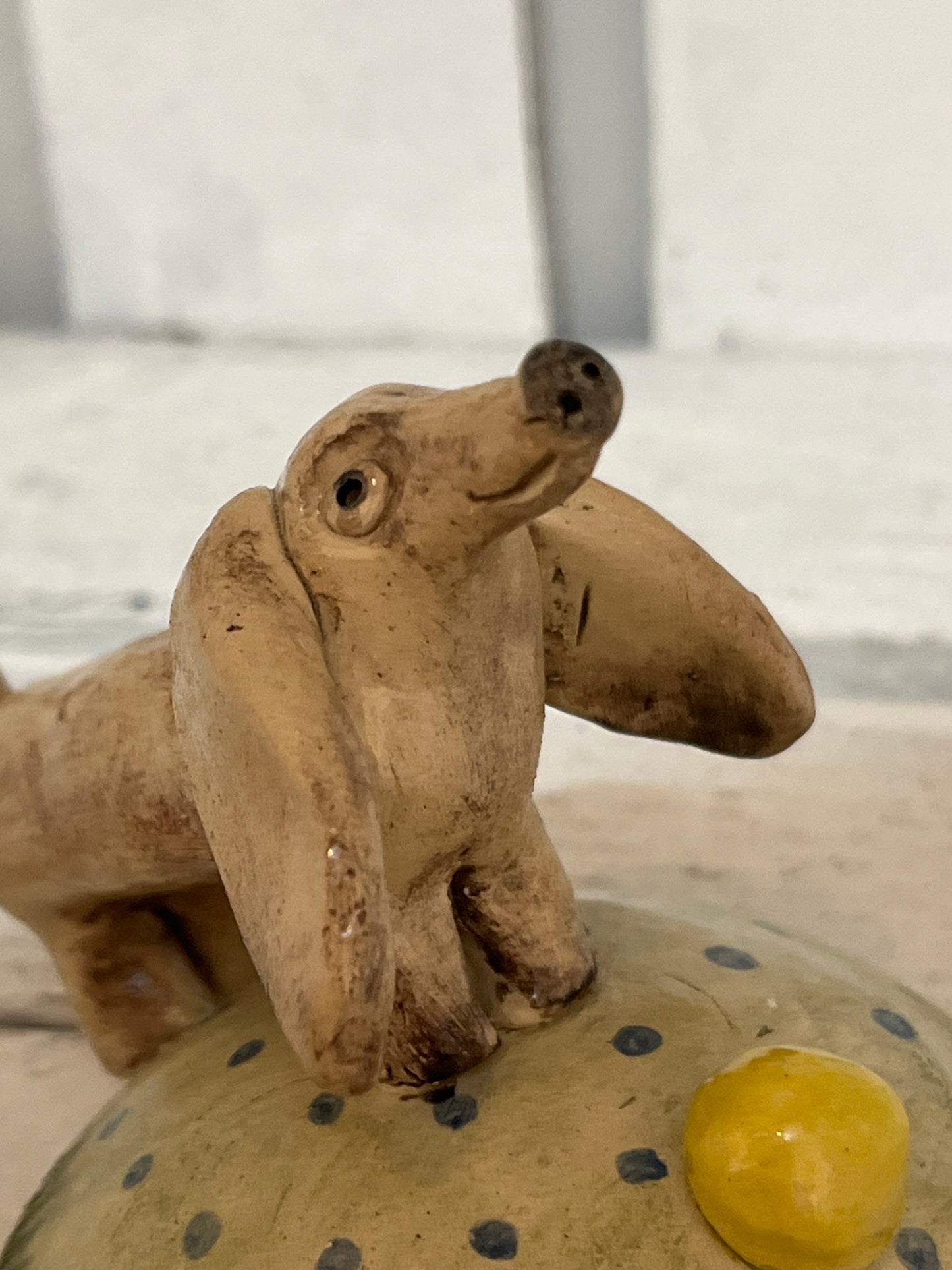 Dog with the Yellow Ball by Judith Douglas