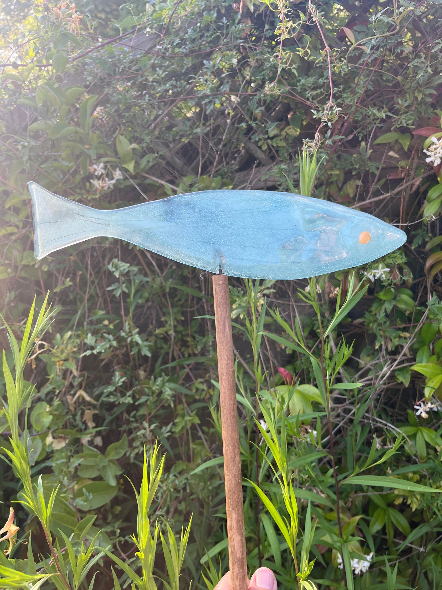Large Glass Fish on Bamboo Sick