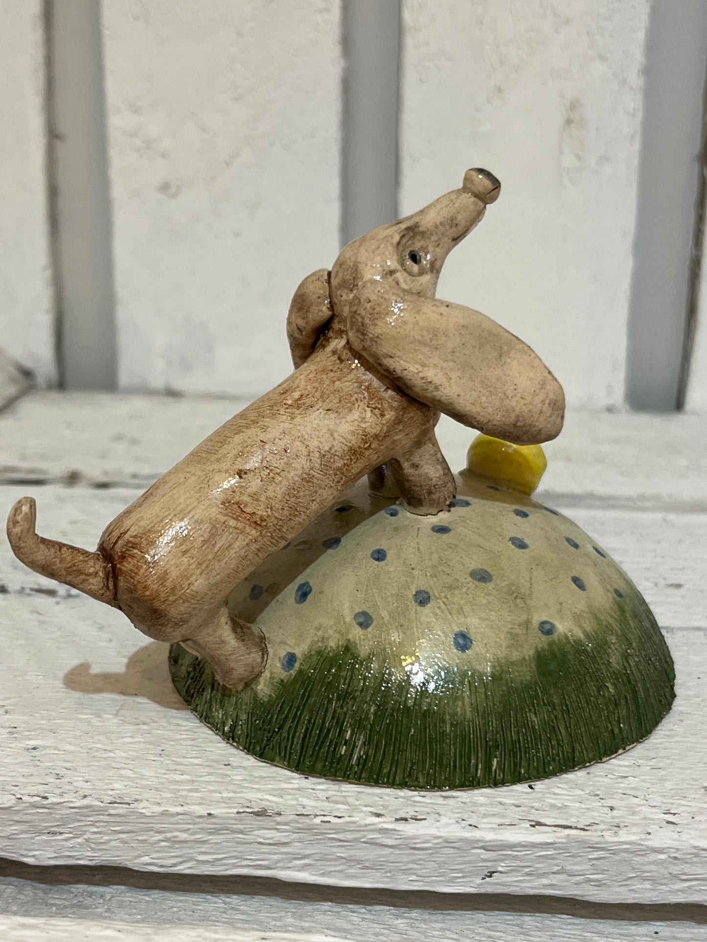 Dog with the Yellow Ball by Judith Douglas