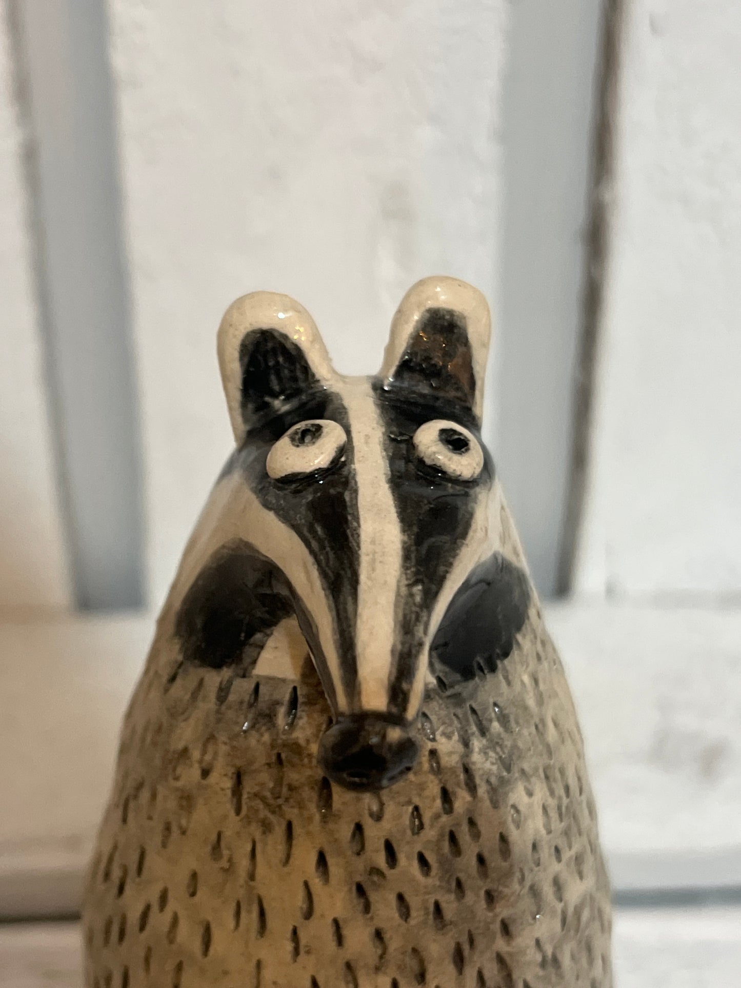 Billy Badger by Judith Douglas