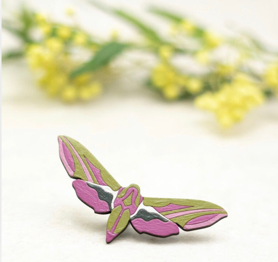 Elephant Hawk Moth
