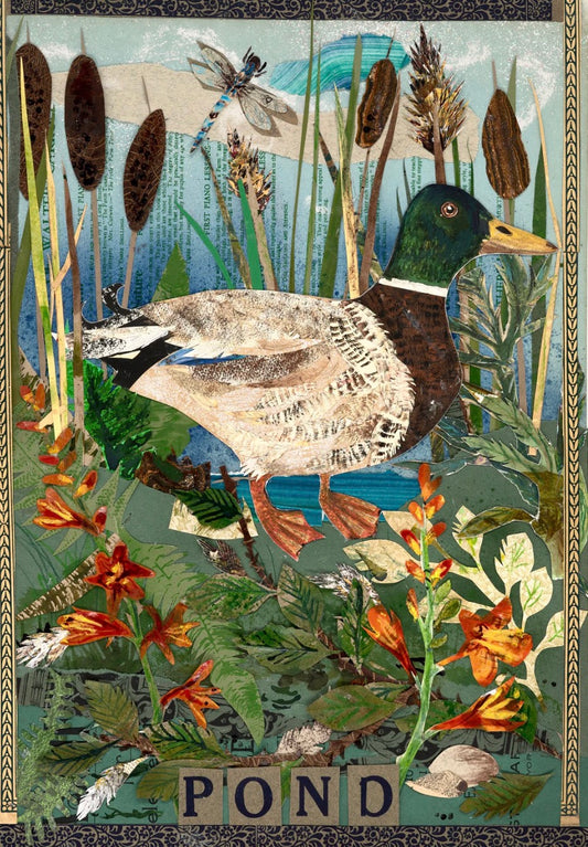Pond Life Fine Art Giclèe Print