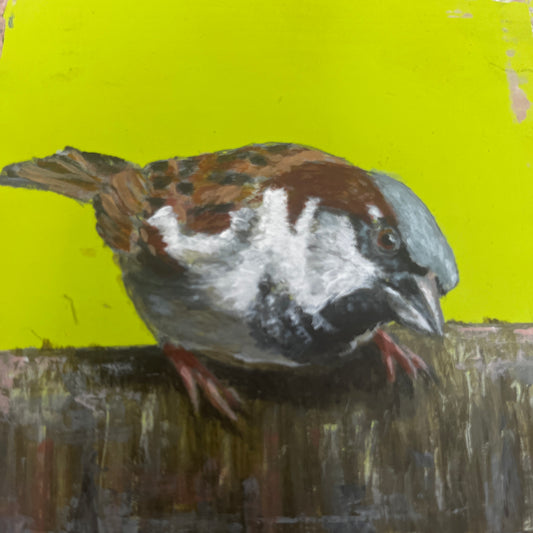 Sparrow Painting by Stephen Ferguson