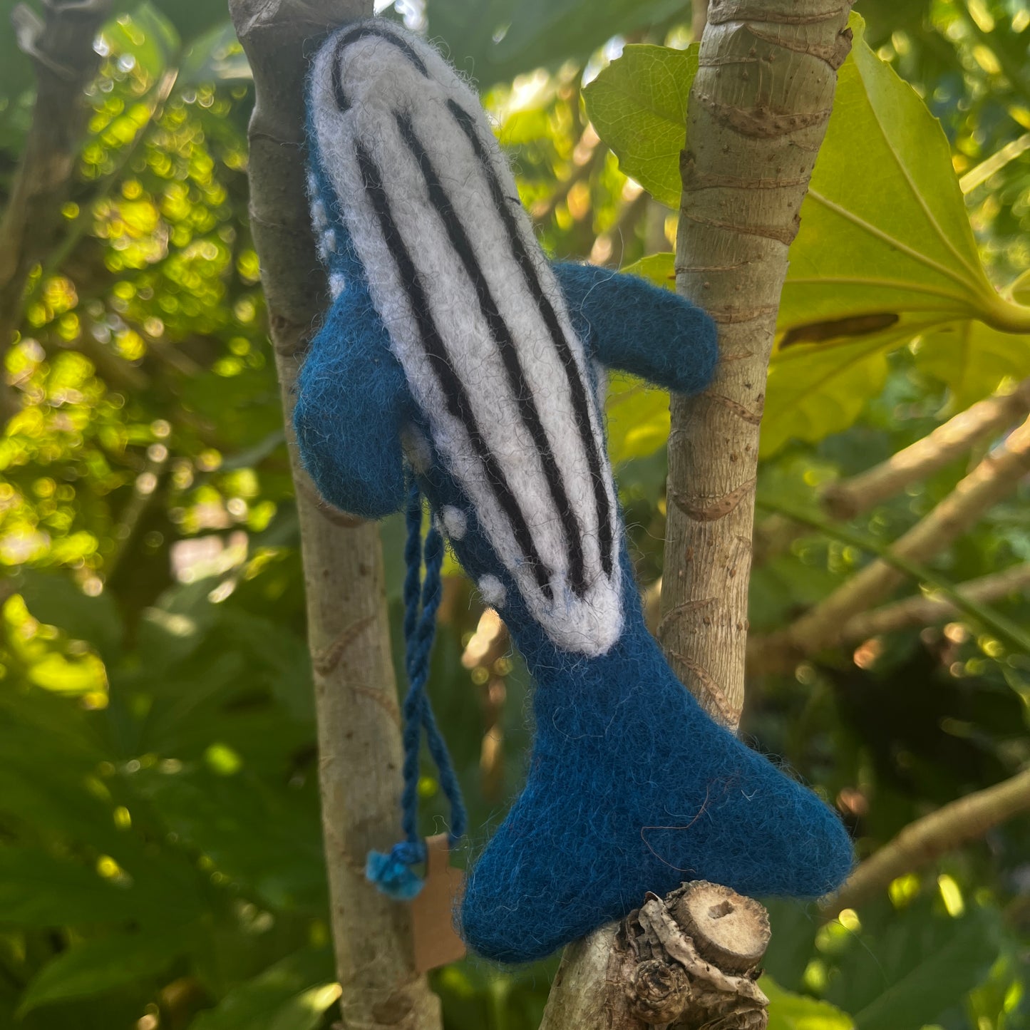 Felted Shark