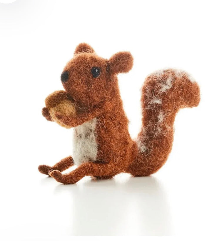 Baby Squirrel