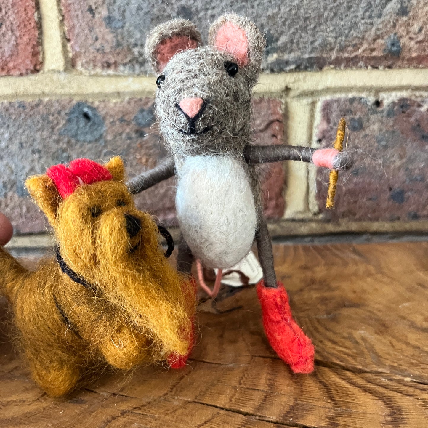 Mouse Walking a Yorkshire Terrier