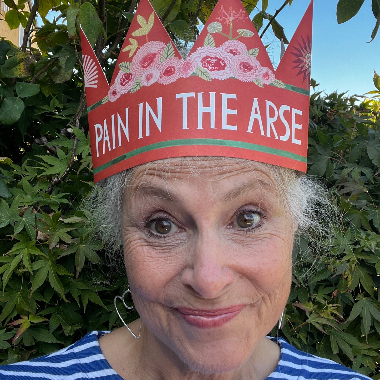 Pain in the Arse Party Hat Greeting Card