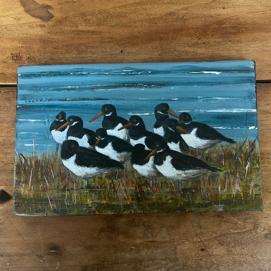 Oyster Catcher Painting by Stephen Ferguson