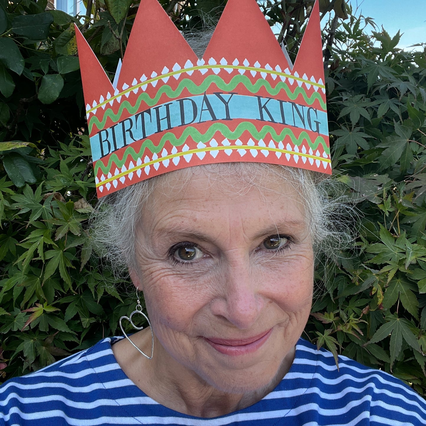 Birthday King Party Hat Greeting Card
