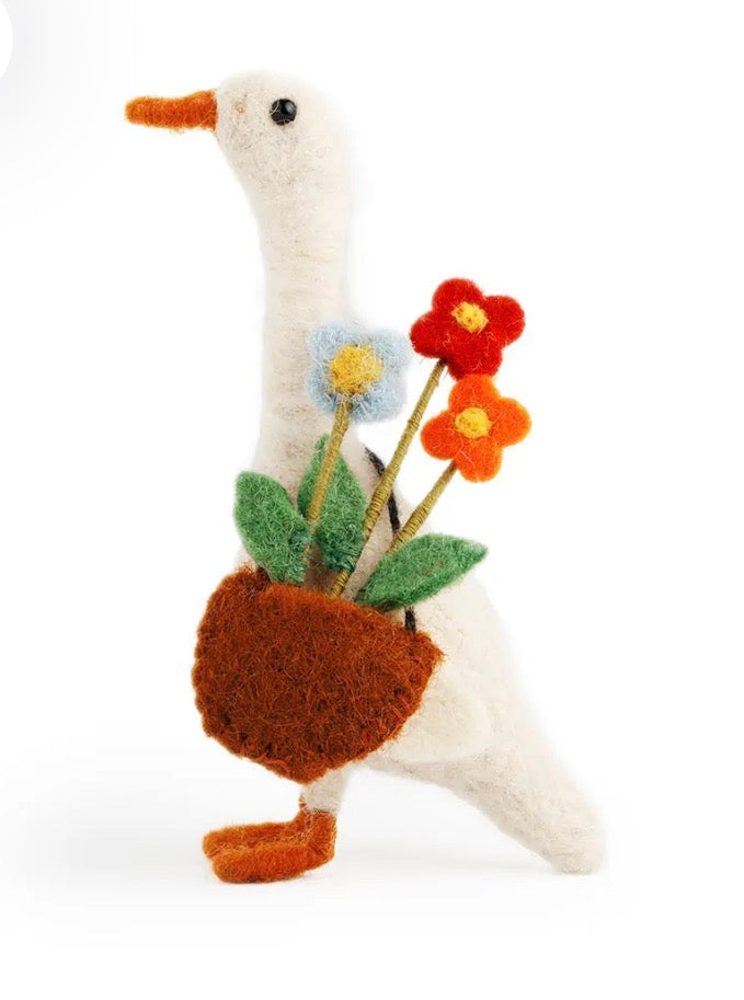 Daphne Duck