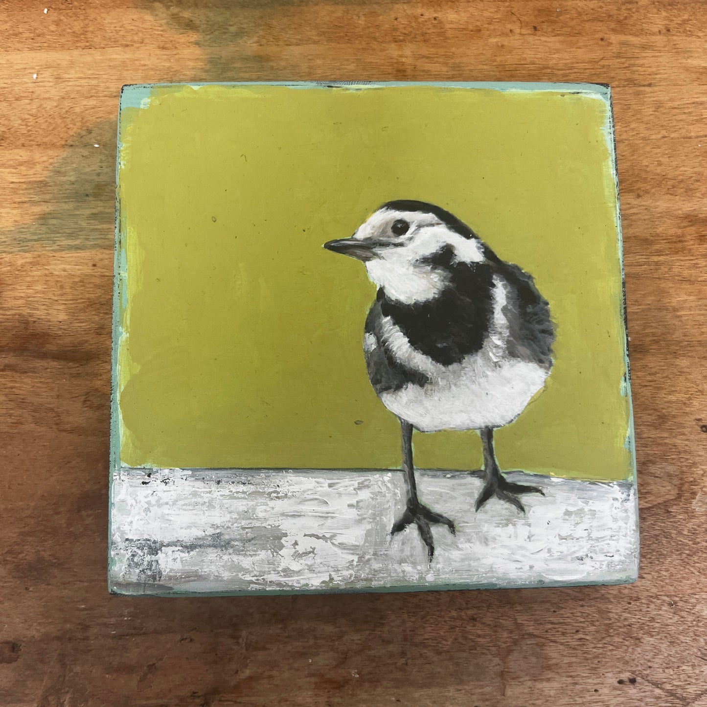 Pied Wagtail Painting by Stephen Ferguson