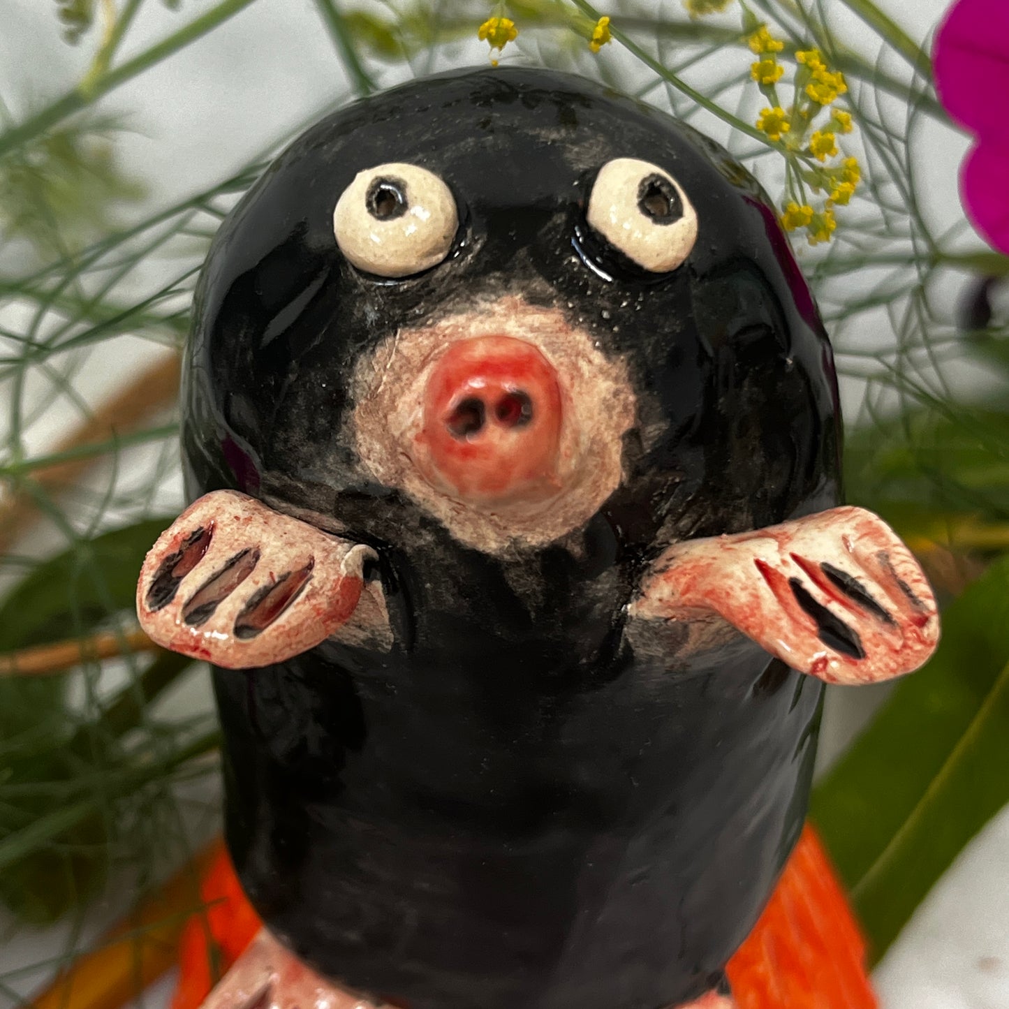 Molly the Mole