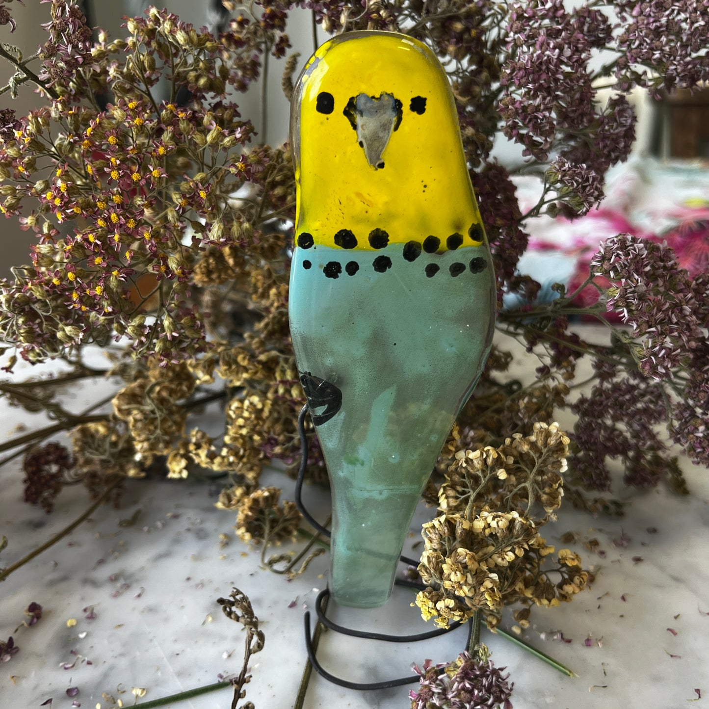 Budgie on a Spring!