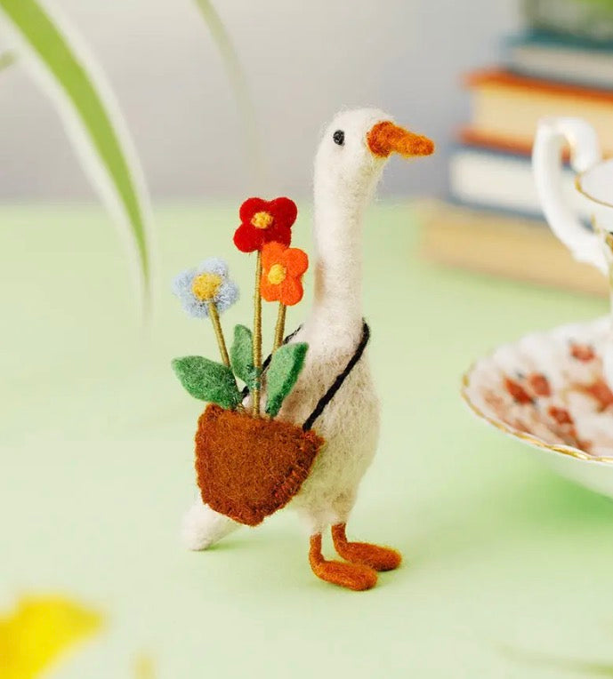 Daphne Duck