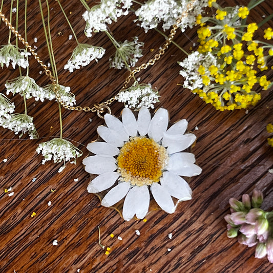Daisy on Gold plated chain