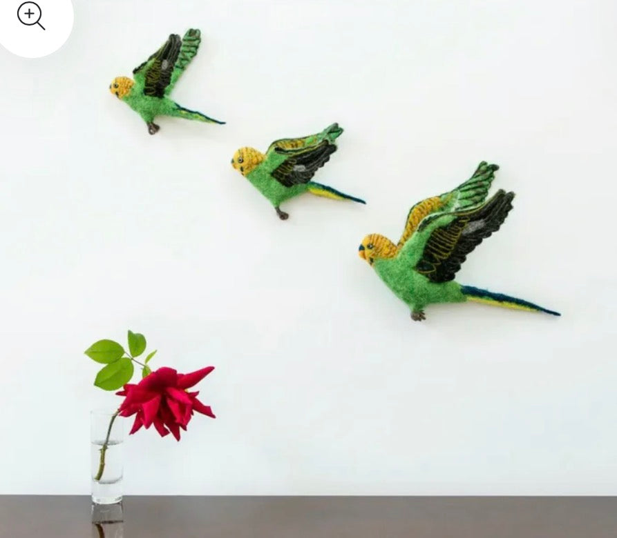 Flying Green Budgie Trio
