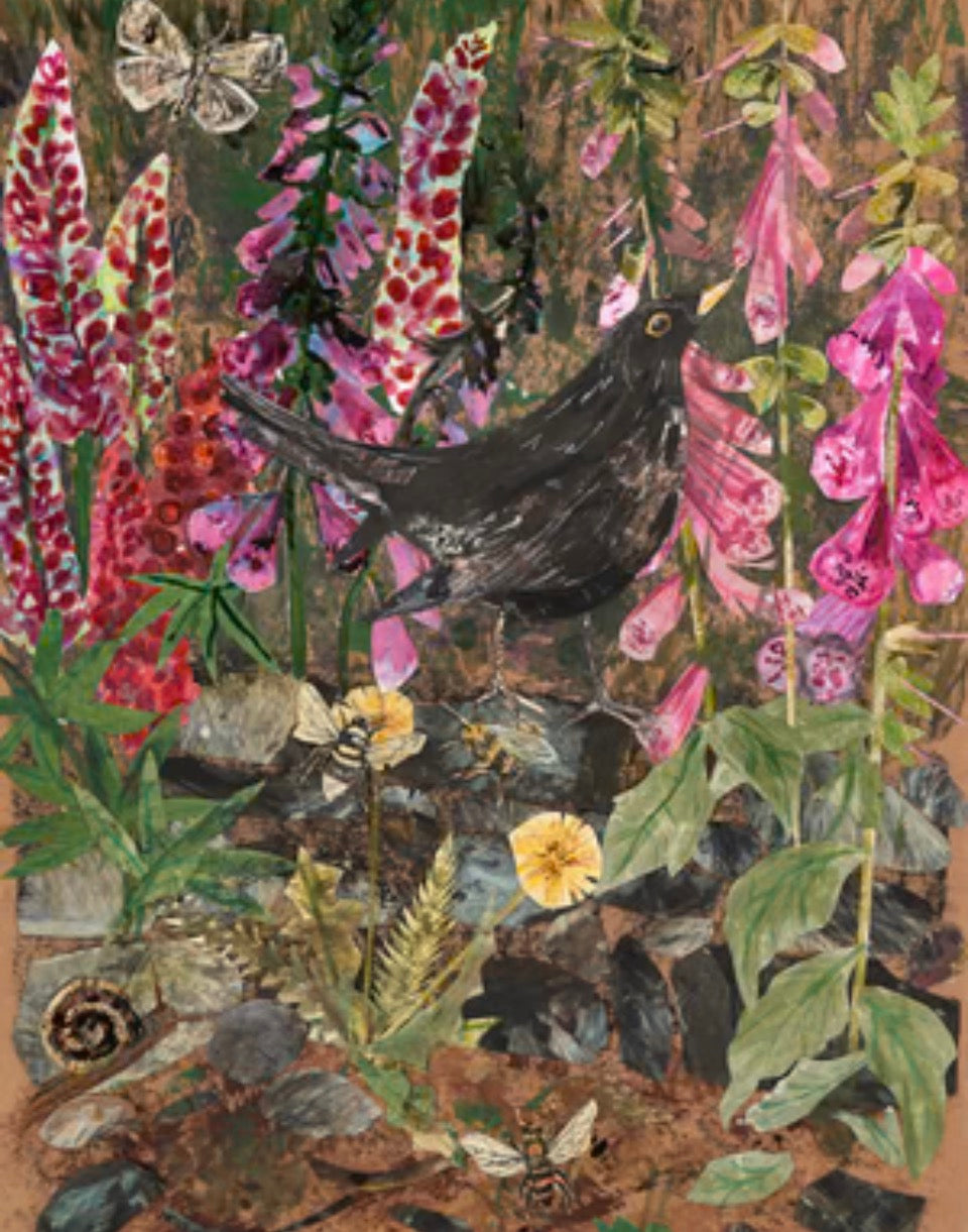 Blackbird in the Foxgloves Fine Art Giclèe Print