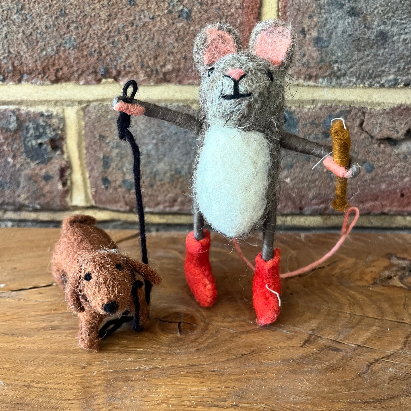Mouse walking a Dachshund