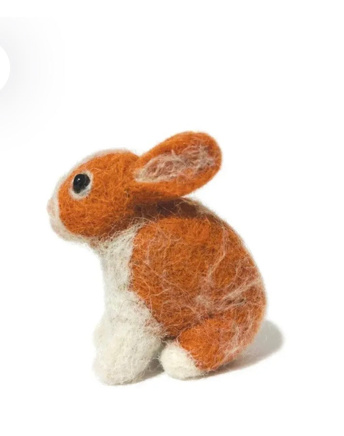 Baby Rabbit